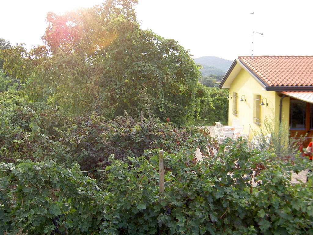 Agriturismo Monteortone Abano Terme Exterior foto